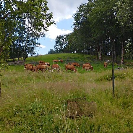 Zimmeruv Statek Mikulášovice Exteriér fotografie