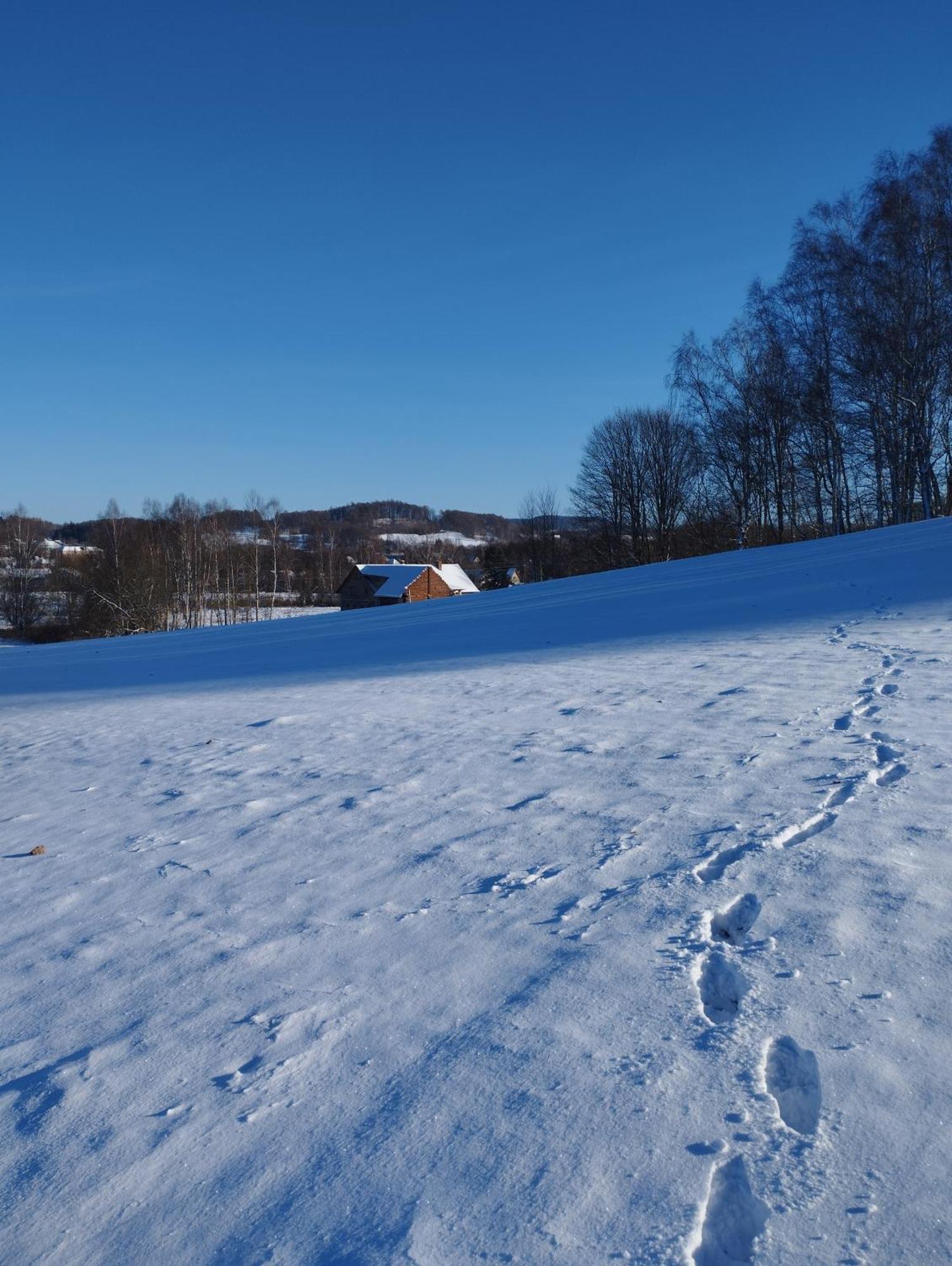 Zimmeruv Statek Mikulášovice Exteriér fotografie