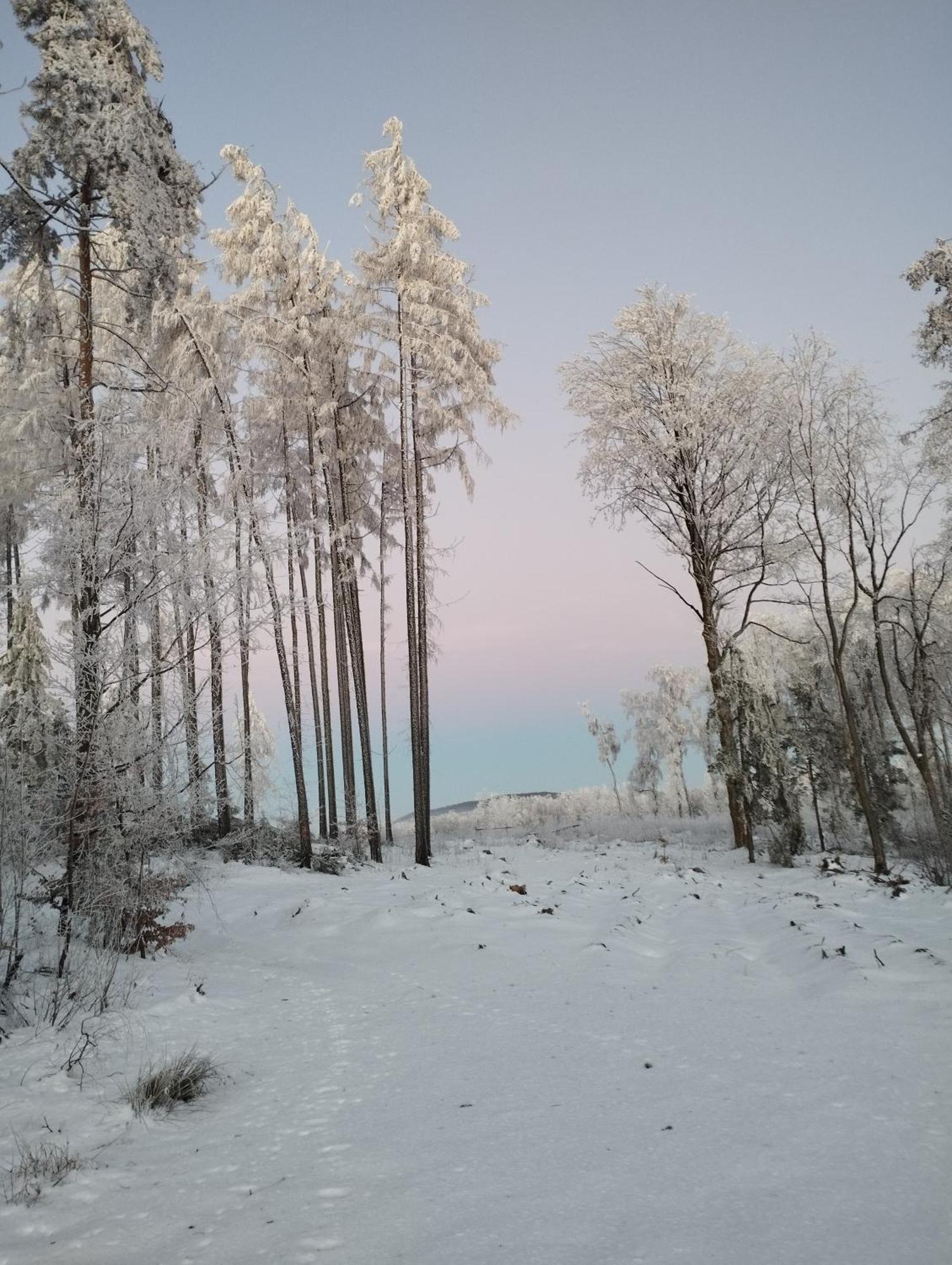 Zimmeruv Statek Mikulášovice Exteriér fotografie